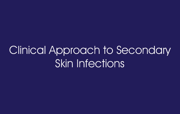 Clinical Approach to Secondary Skin Infections