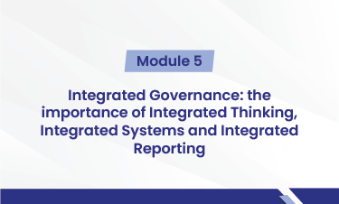 Integrated Governance: the importance of Integrated Thinking, Integrated Systems and Integrated Reporting