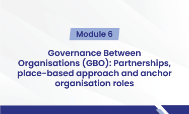 Governance Between Organisations (GBO): partnerships, place-based approach and anchor organisation roles