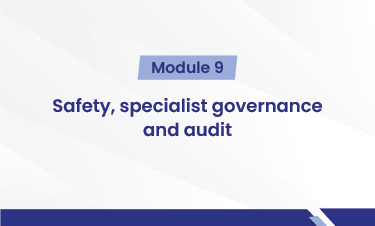 Safety, specialist governance and audit