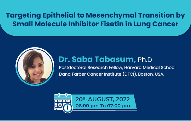 Targeting Epithelial to mesenchymal Transition by small molecule inhibitor Fisetin in lung cancer