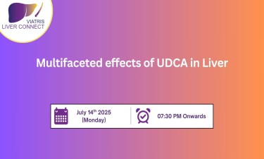Multifaceted Effects Of UDCA in Liver