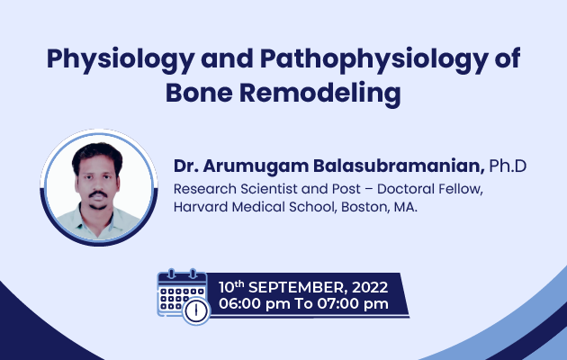 Physiology and Pathophysiology of Bone Remodeling